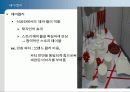 [푸드코디] Part 2. 식공간 연출 디자인 - 식공간 연출 디자인.ppt 4페이지