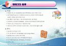 재테크  보고서 11페이지