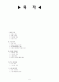 네비게이션 시장보고서 2페이지