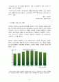 네비게이션 시장보고서 12페이지