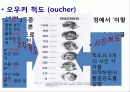 [간호학] 아동의 발달과 통증 사정 15페이지