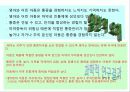 [간호학] 아동의 발달과 통증 사정 22페이지