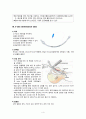 간호ward - 각종 tube와 간호중재 4페이지