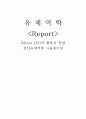 전산유체역학 보고서,CFD 1페이지
