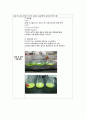 질산은 표준액의 표정(파얀스법) 2페이지