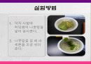 기체상수의 결정 및 크로마토그래피 31페이지