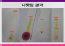 기체상수의 결정 및 크로마토그래피 34페이지