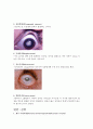 감각기관 6페이지