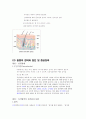 감각기관 14페이지