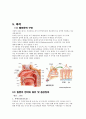 감각기관 18페이지
