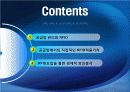 비즈니스정보시스템_발표 2페이지