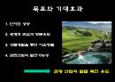 초정리 광천수 가치개발 필요성 및 분석 - 자원의 가치 및 분석, 현황분석, SWOT분석, 기대효과, 충북청원.ppt 8페이지
