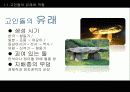 고인돌 4페이지