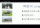 고인돌 7페이지