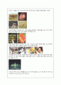 인간의 끝없는 스포츠속의 도전 2페이지