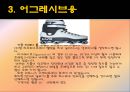 인라인_스케이트 8페이지