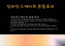 인라인_스케이트 16페이지