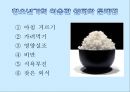 [A+] 청소년 영양관리 비만관리법 청소년기 식습관 실태와 문제점 영양왜곡현상 청소년 1일영양섭취기준 좋은식단의 예 편식 생활지침 패스트푸드 정크푸드 비만 트랜스지방 3페이지