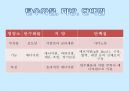 [A+] 청소년 영양관리 비만관리법 청소년기 식습관 실태와 문제점 영양왜곡현상 청소년 1일영양섭취기준 좋은식단의 예 편식 생활지침 패스트푸드 정크푸드 비만 트랜스지방 12페이지