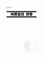 여행업의 현황 조사보고서 한국관광협의회 중앙회(KTA) 한국일반여행업협회(KATA) 한국관광공사 한국문화관광정책연구원(한국문화관광연구원) 1페이지