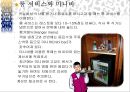 [A+] 호텔이용 매너에 대한 조사보고서 (객실이용매너, 호텔시설이용 매너)ppt 24페이지