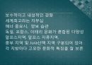 [A+] 오스트리아, 스위스의 역사와 문화 조사보고서.ppt 53페이지