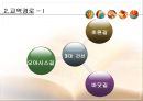실크로드 경제사 4페이지