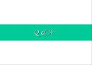 청중 분석 (Audience Analysis)  22페이지