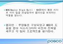 포스코 기업소개 - 비상, 거대한 들불도 손톱만한 불씨에서 시작한다.ppt 10페이지