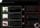 홈쇼핑 성장요인, 장단점 CJ오쇼핑, GS홈쇼핑, 롯데홈쇼핑, 현대홈쇼핑 17페이지