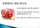 NS 홈쇼핑 사업현황, 경영전략 및 장단점,  히트상품 분석.ppt 21페이지