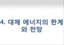 대체 에너지, 신생에너지  필요성, 전망 및 한계 19페이지