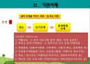 가출청소년 문제, 실태, 정부 정책 및 기관 사례 (강남구 청소년 쉼터) 16페이지