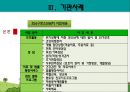 가출청소년 문제, 실태, 정부 정책 및 기관 사례 (강남구 청소년 쉼터) 18페이지