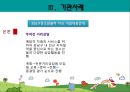 가출청소년 문제, 실태, 정부 정책 및 기관 사례 (강남구 청소년 쉼터) 19페이지