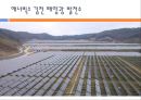 태양광 발전.PPT자료 15페이지