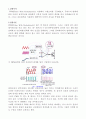 PWM(Pulse With Modulation)을 이용해서 스텝모터를 구동 보고서 - 실험목적, 실험이론, 실험장치, 실험방법 1페이지