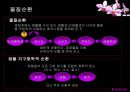 생물 지구화학적 순환.PPT자료 4페이지