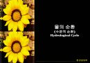 생물 지구화학적 순환.PPT자료 7페이지
