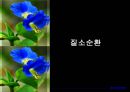 생물 지구화학적 순환.PPT자료 14페이지