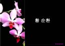 생물 지구화학적 순환.PPT자료 22페이지