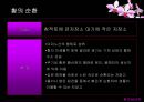 생물 지구화학적 순환.PPT자료 23페이지