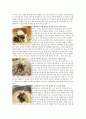 면 & 만두 6페이지