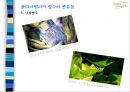 롤리타렘피카(Lolita Lempicka) (향수 종류들, 글로벌시장진출, 품질관리와 현지화 전략(4P), 성공요인과 성과).PPT자료 8페이지
