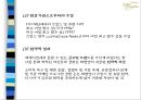 롤리타렘피카(Lolita Lempicka) (향수 종류들, 글로벌시장진출, 품질관리와 현지화 전략(4P), 성공요인과 성과).PPT자료 21페이지