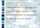 롤리타렘피카(Lolita Lempicka) (향수 종류들, 글로벌시장진출, 품질관리와 현지화 전략(4P), 성공요인과 성과).PPT자료 23페이지