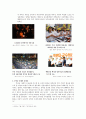 PR의 성공 사례와 실패 사례 분석 [무안군 쓰레기 소각장 VS 부안군 핵폐기장]  12페이지