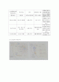 생명과학의 이해 요약정리 : chapter 2 ~ 8 11페이지