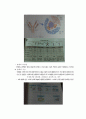 생명과학의 이해 요약정리 : chapter 2 ~ 8 24페이지