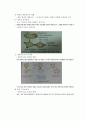 생명과학의 이해 요약정리 : chapter 2 ~ 8 25페이지